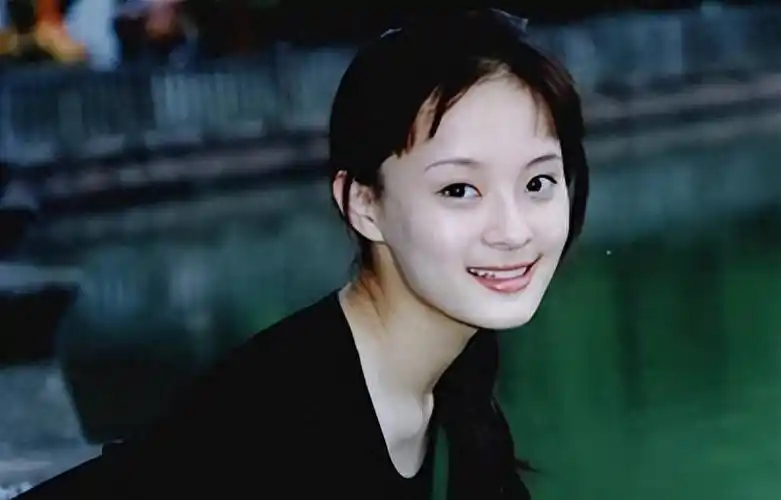 孙俪这些年来经历了什么导致她从神坛跌落