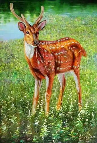 朝鲜精品动物油画 保证纯手绘 - 美篇