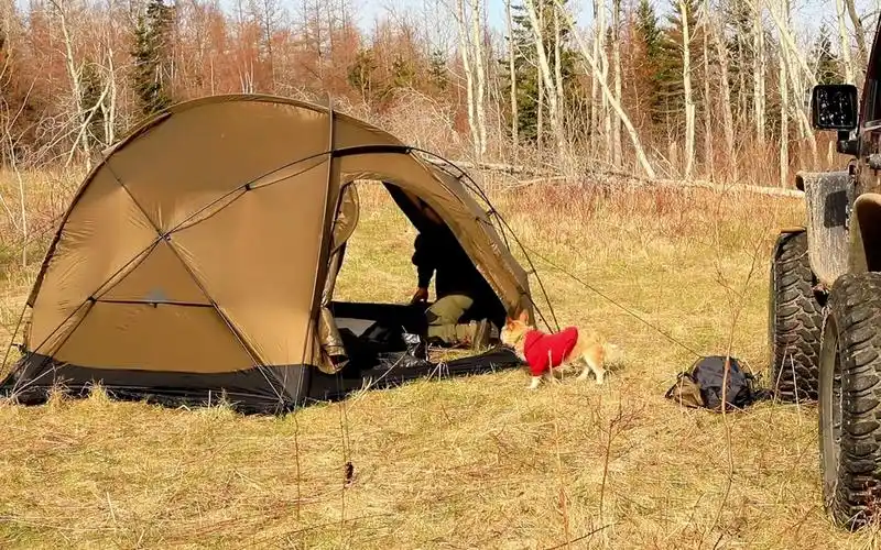带着我的小狗到荒野露营,撑起一顶小帐篷,烧着柴火烹饪太享受了