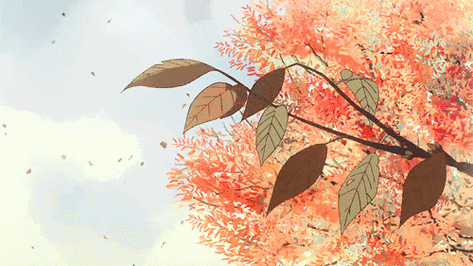 500_281gif 动态图 动图