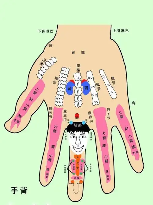 中医手诊歌通俗易懂一看就会