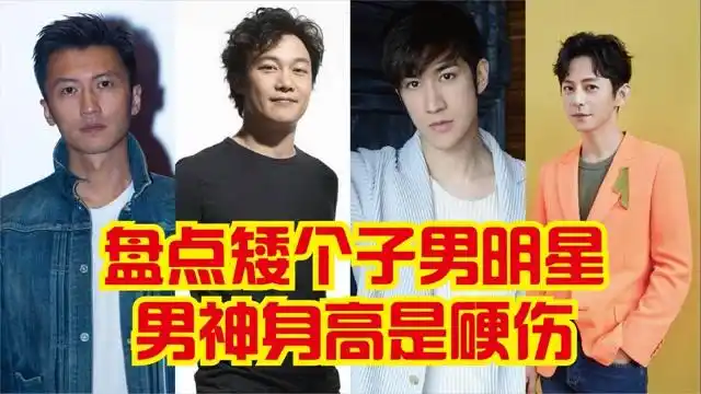 盘点矮个子男明星男神身高是硬伤谢霆锋陈奕迅竟然这么矮