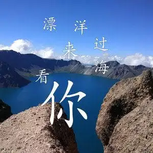 漂洋过海来看你