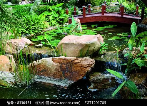 中式小桥流水景观