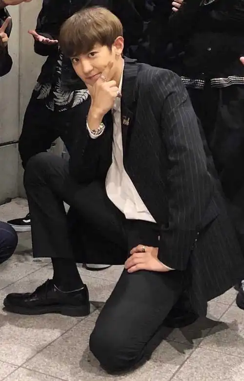 今天的朴灿烈顺毛状态太好了吧 好像cmb那时候