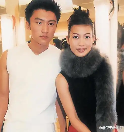 天龙八部已过26年剧中女星今昔对比因情所伤至今都未婚