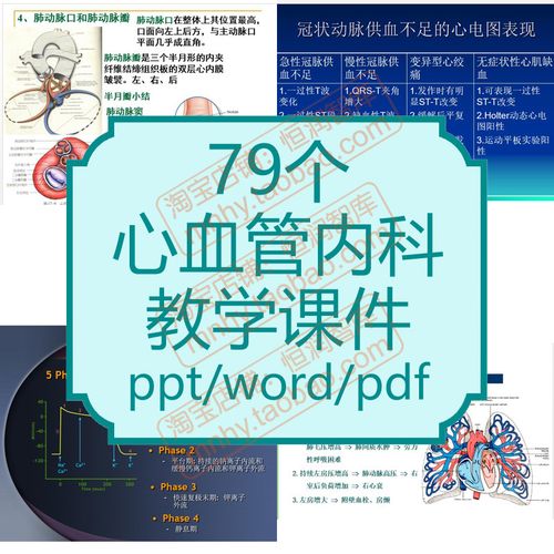 心血管内科教学ppt课件心脏电生理心肌起搏器心律失常电除颤教程