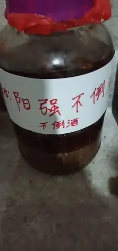 壮阳,补肾,补精的药酒