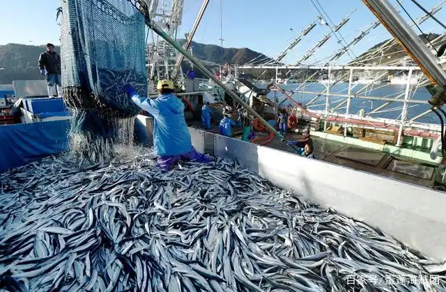 山治做梦都想找到的all blue!|好多好多好多鱼,好多鱼