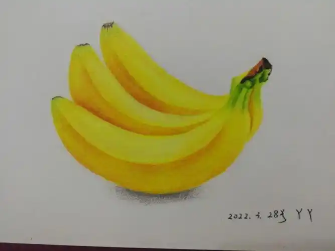 每天彩铅画香蕉