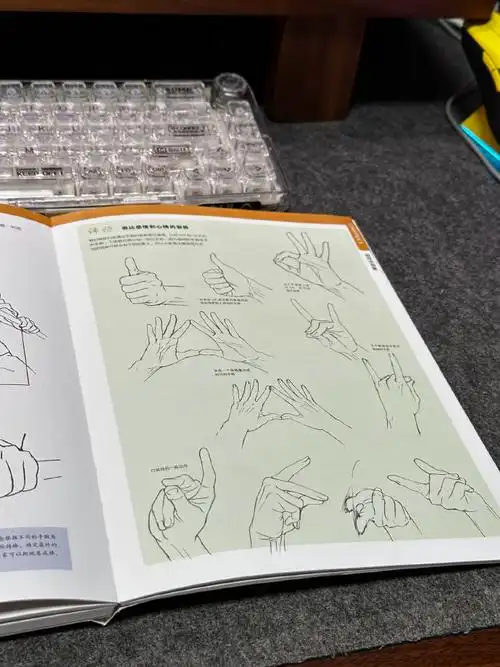 是日本动画家加加美高浩的第一本关于手部的绘画技法教程