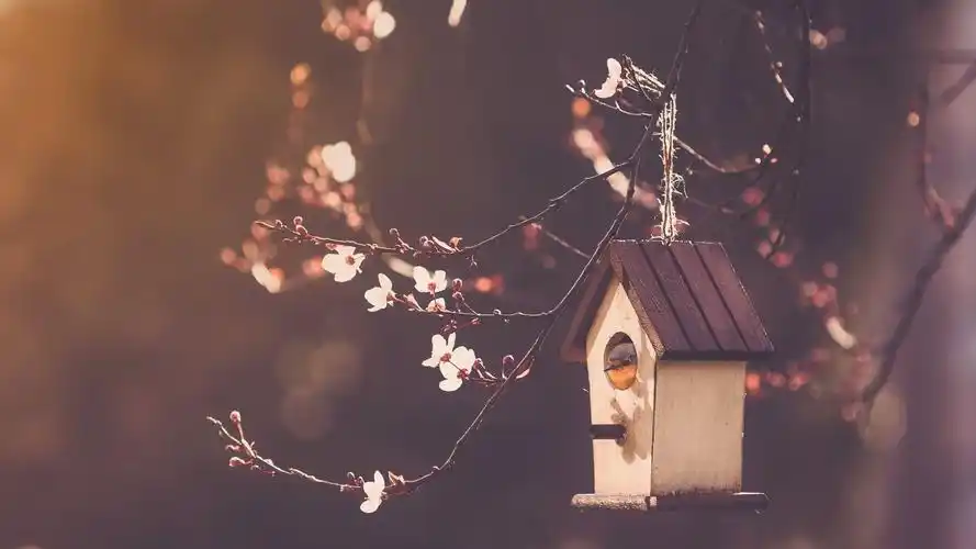 > 唯美咖啡杯电脑壁纸图片下载(2560x1440)