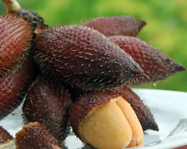 这些冷门又少见但非常美味的水果,你都吃过哪些?