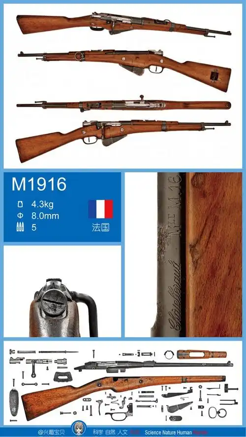 兴趣宝贝第014期怎样区分毛瑟98k莫辛纳甘加兰德等步枪