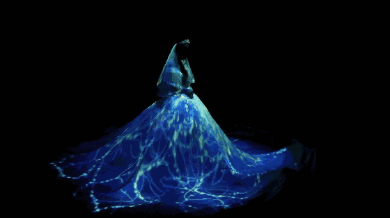 560_314gif 动态图 动图