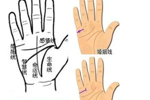 一生必有两次婚姻的手相类型
