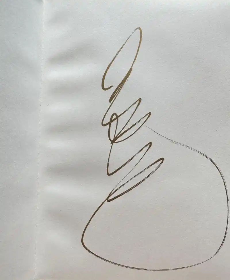 晓娱福利# 古董绝版#王力宏# 签名笔记本