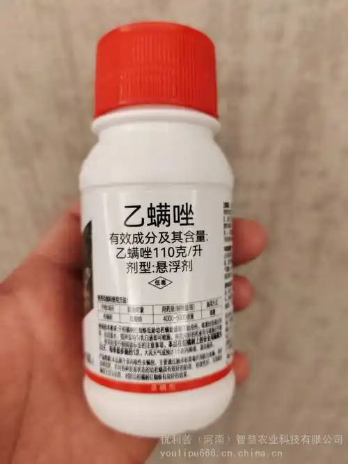 草莓月季玫瑰茄子抗性白蜘蛛110克升乙螨唑白掌门抗性白蜘蛛杀螨剂