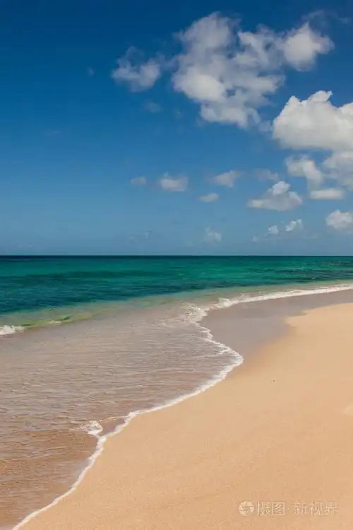 美丽的热带海滨沙滩海海景蓝色天空蓬松 cl