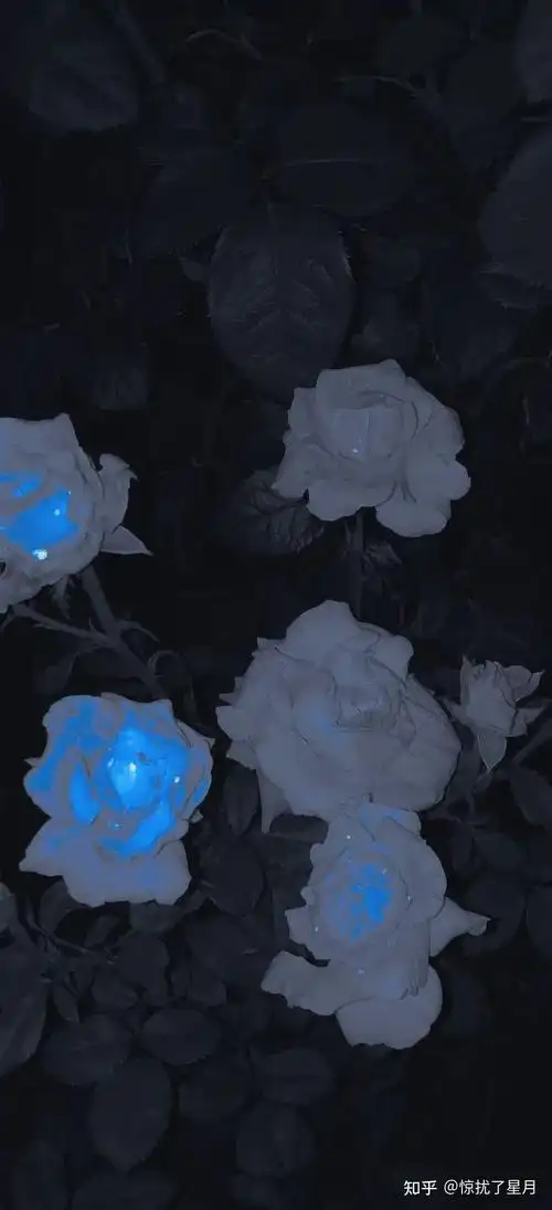 有没有小众高级简约的壁纸