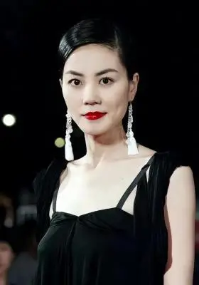 王菲年轻时最美的照片 个人资料,王菲时尚颜值穿搭视频 - 歌词译