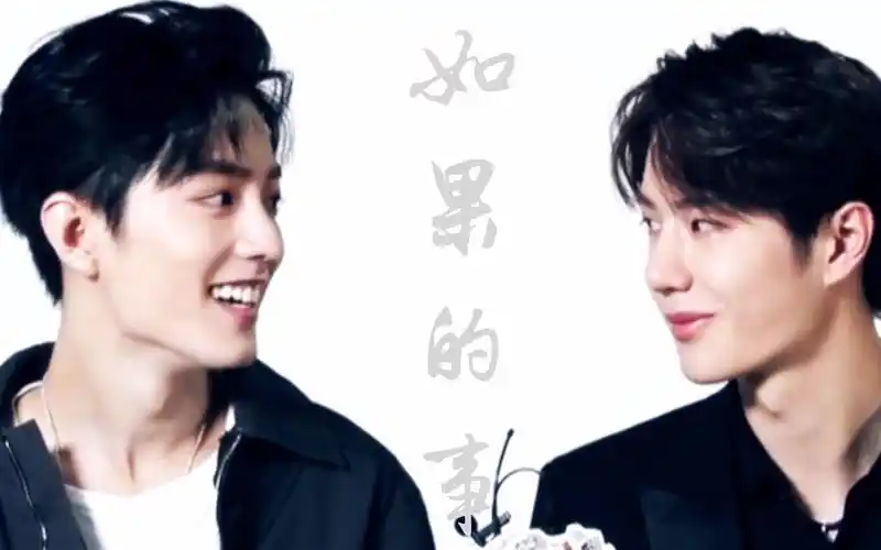 博君一肖高甜合集如果的事