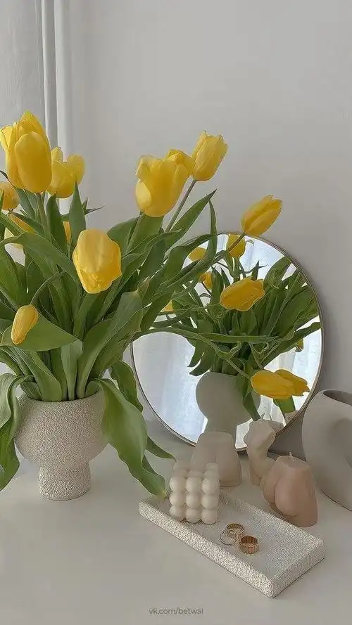 清新ins风简约锁屏壁纸_网易订阅