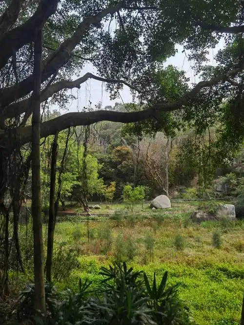 厦门万石植物园春光春色惹人醉