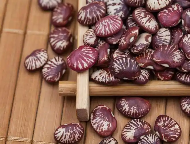 静物 实拍 食材 补肾豆