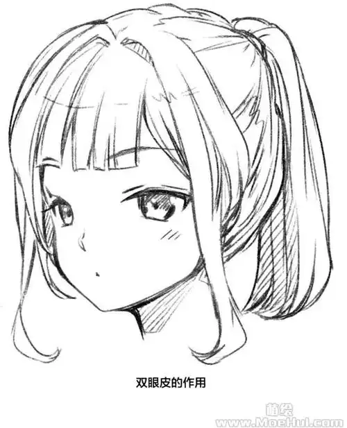 零基础漫画入门-4.在面部轮廓上画出眼睛