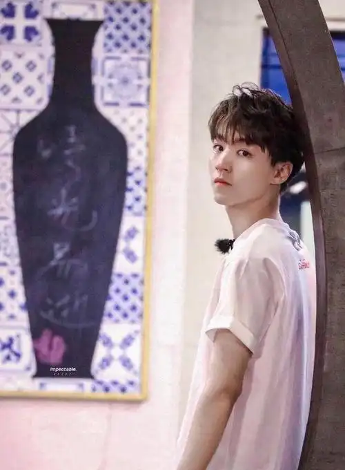 王俊凯,这位带着口罩也挡不住帅气的偶像,从综艺节目《中餐厅3》开始