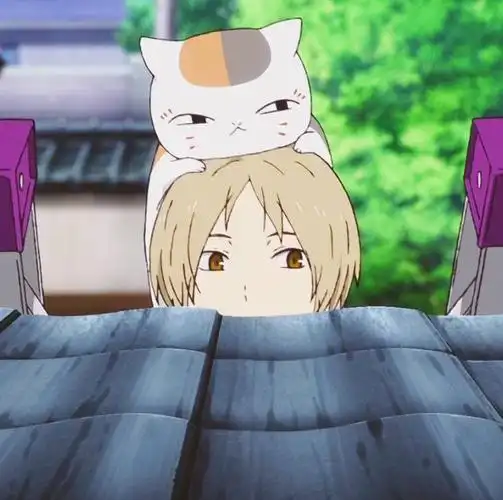 夏目与斑的日常