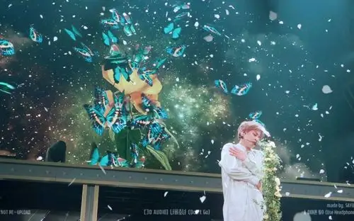 金珉锡3d音效190629exocbx2019magicalcircus日巡埼玉场蝴蝶少女dont