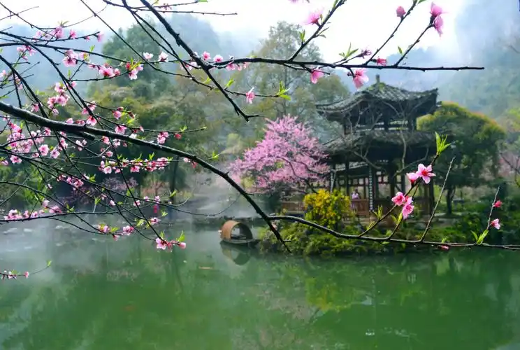 重庆酉阳桃花源美如仙境这里才是人间的世外桃源