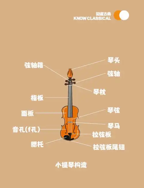 小提琴的秘密:从制作到演奏的全方位解析