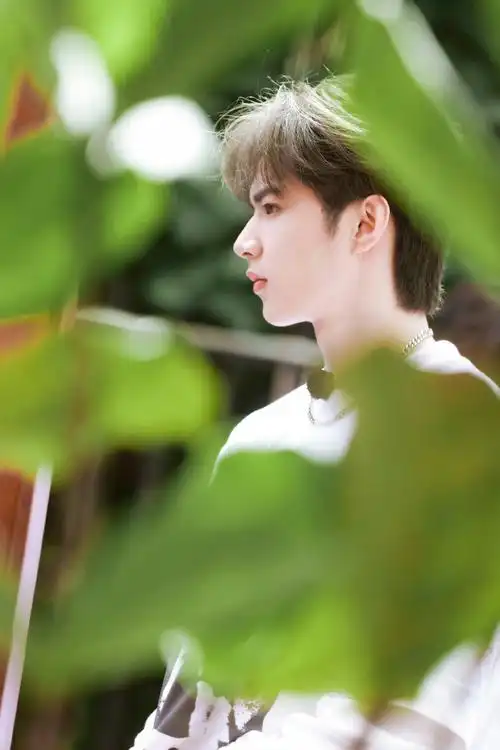 刘耀文绿叶间侧颜照