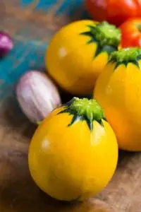 新鲜的有机的蔬菜-圆形的小胡瓜,小的茄子,雄动物照片