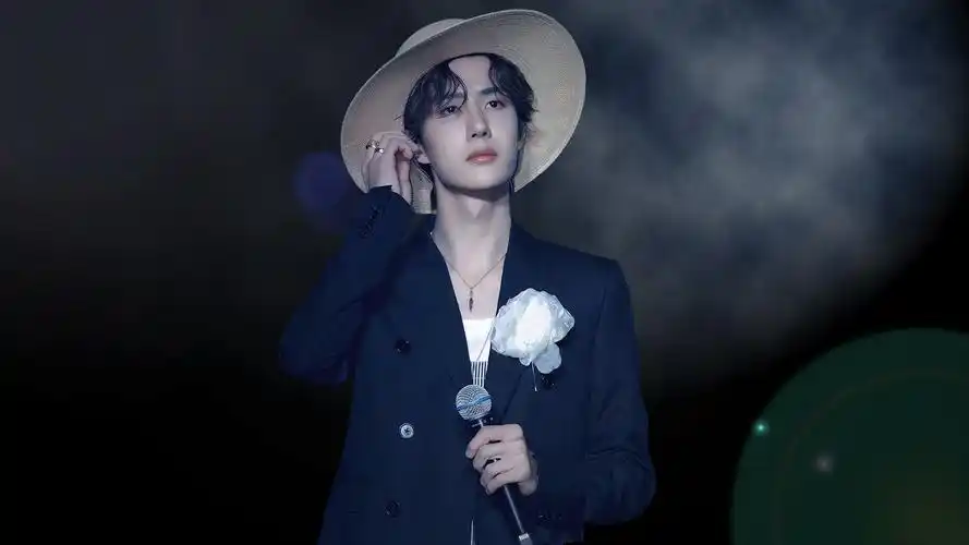 王一博壁纸是一款电脑壁纸,属于明星分