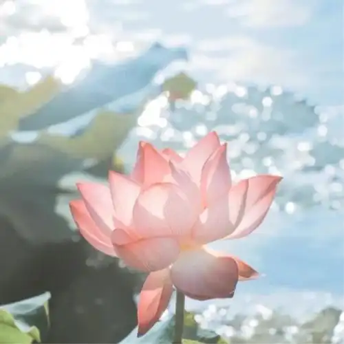 让人过目不忘的头像 高清好看高雅有气质的微信头像图片_微信头像