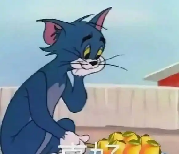 吴京_谢楠_节目