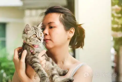 接近年轻的亚洲女人玩她的波斯猫人类动物关系