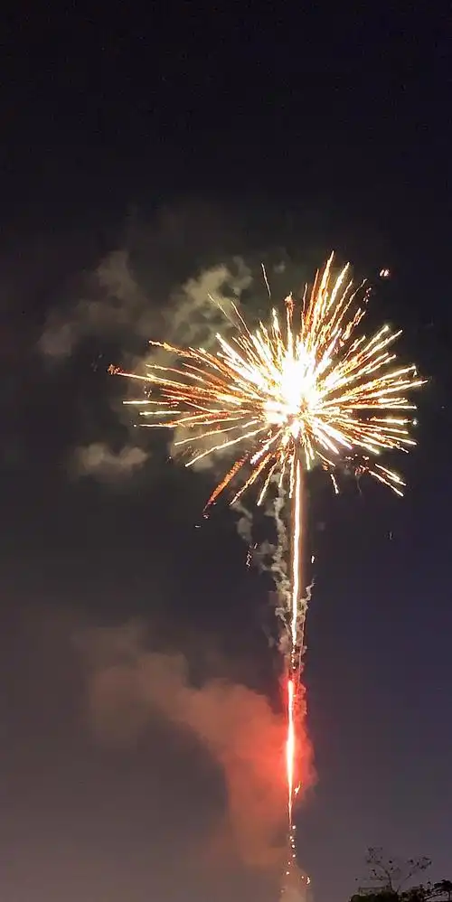 新春伊始2月l5号晚实况放烟花近影.烟花闪烁星灿灿,夜空照亮倍增色.