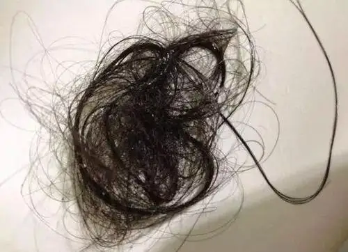 还在为满地的头发感到烦恼?这些小方法轻松帮你清理干净!