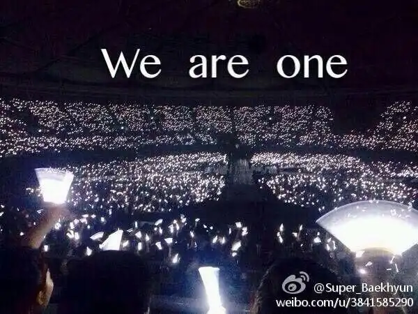 exo的应援海带字的图片