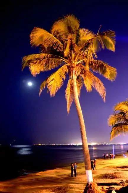 【jpg】海边夜景