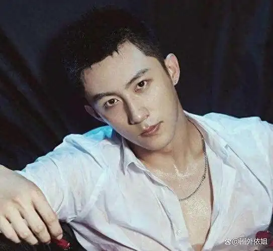 苦瓜相硬汉脸演技各个不俗戏路却越走越窄的5位演员