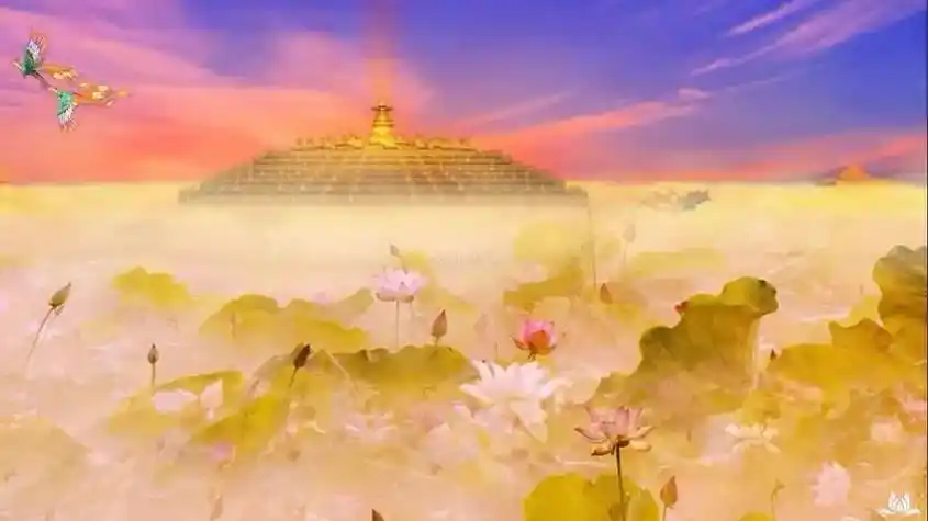 愿生西方净土中,九品 - 抖音