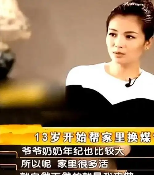 国民媳妇惨遭翻车刘涛黑历史被扒出为上位不惜代价