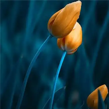 成熟男人微信头像风景图片