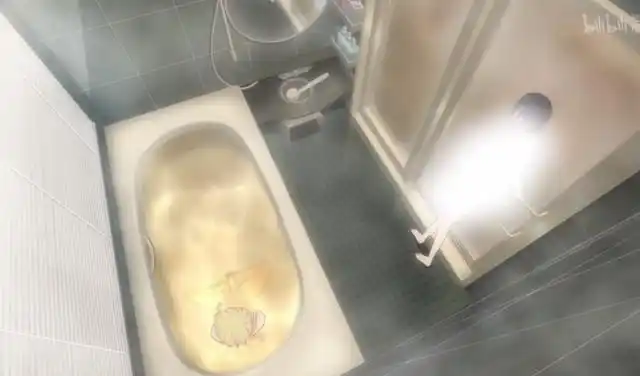 citrus柑橘味香气2越慌越想越慌越压抑越炙热